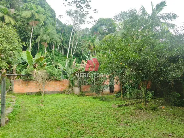 Casa 4 quartos e 2 banheiros, à venda, no bairro Escola Agrícola em Blumenau