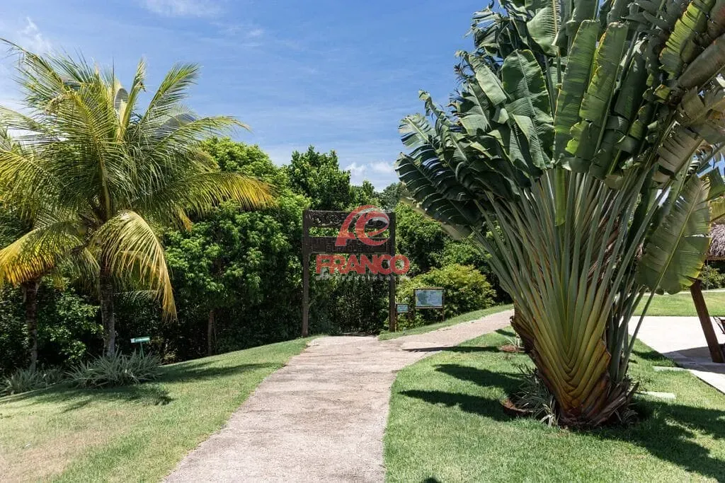 Casa, 4 quartos, 270 m² - Foto 50