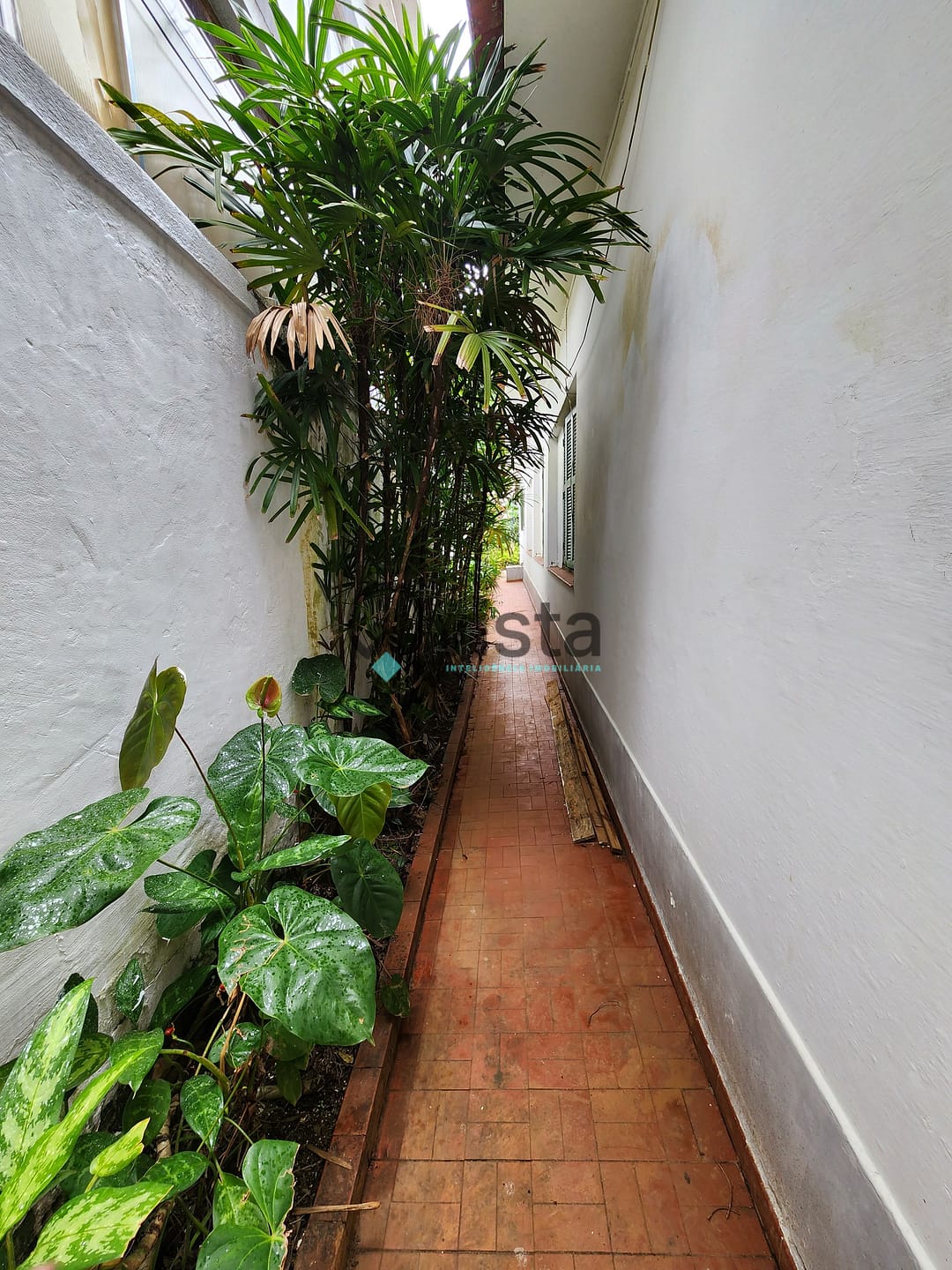 Casa, 3 quartos, 301 m² - Foto 18