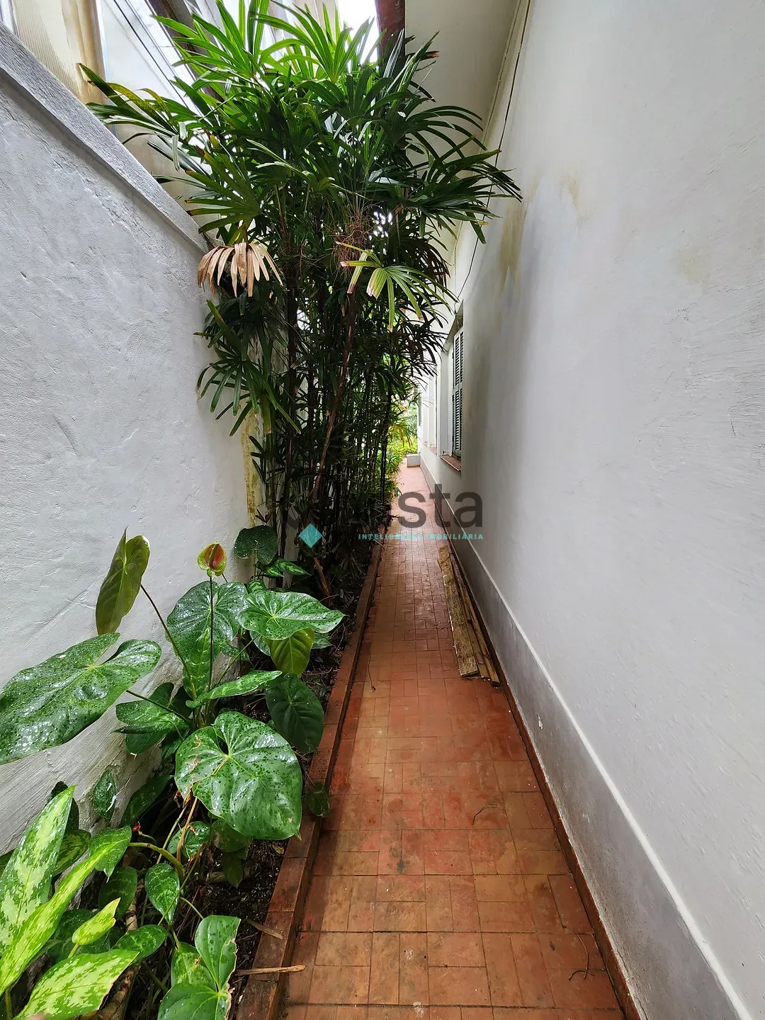 Casa, 3 quartos, 301 m² - Foto 18