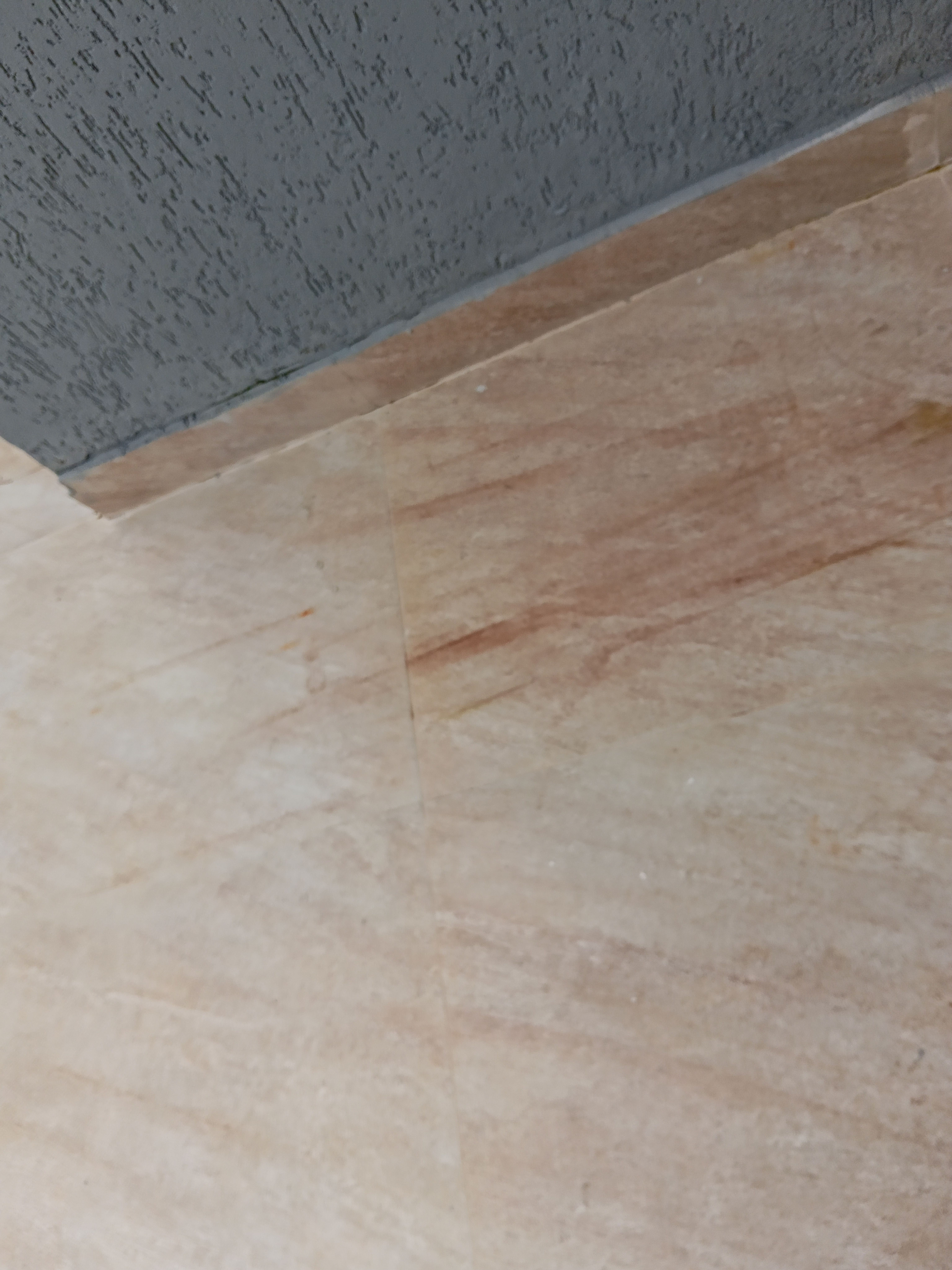 Casa, 3 quartos, 250 m² - Foto 69