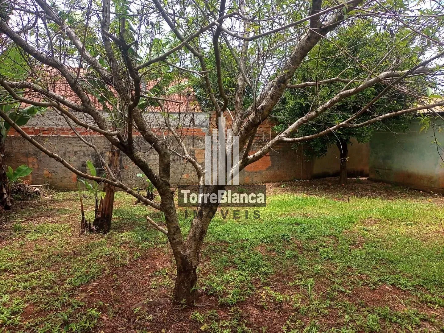 Casa, 3 quartos, 130 m² - Foto 18