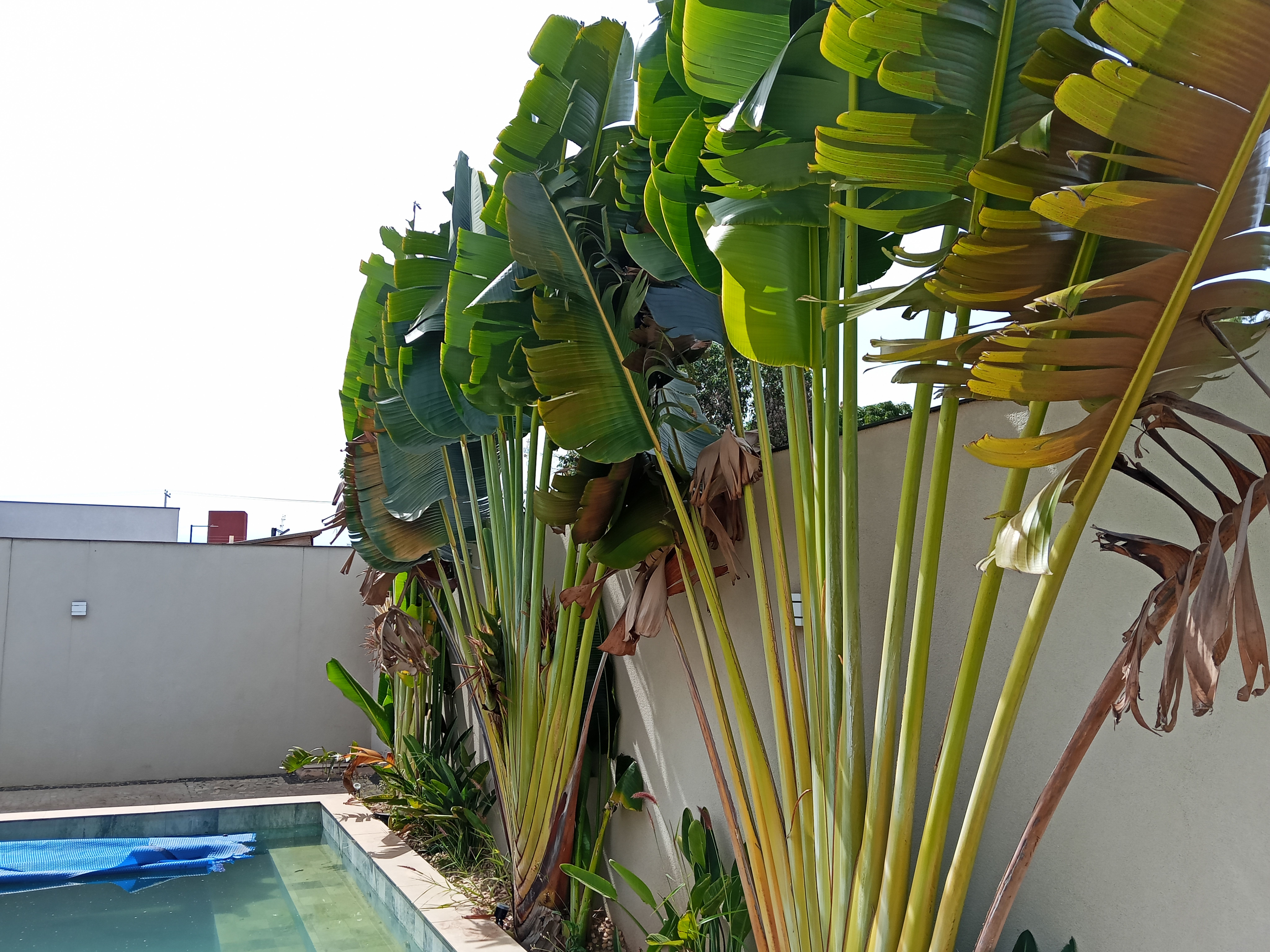 Casa, 3 quartos, 250 m² - Foto 66