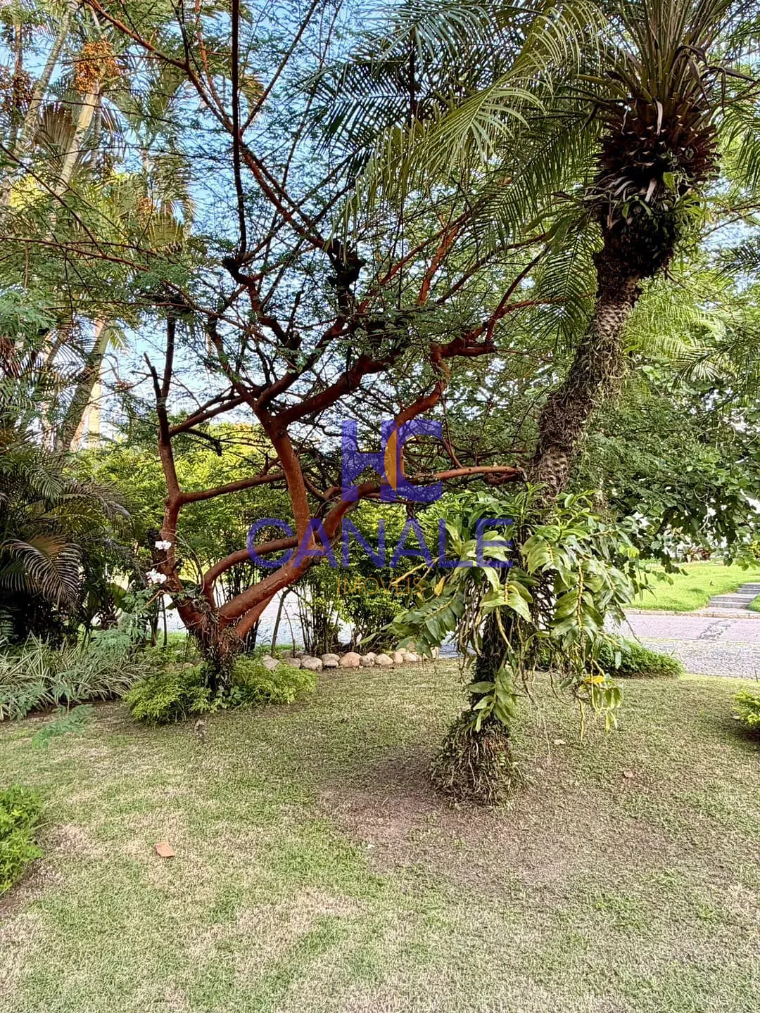 Casa, 5 quartos, 984 m² - Foto 5