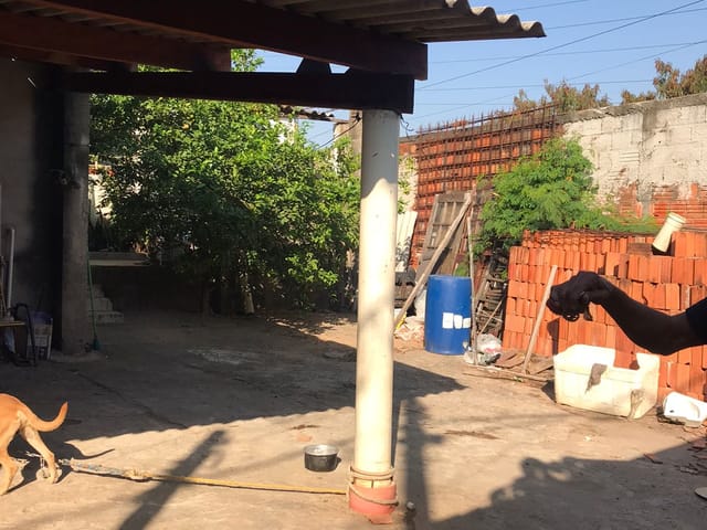 Casa com 150m² 2 quartos e 1 banheiro, à venda, no bairro Conjunto Habitacional Parque Itajaí em Campinas