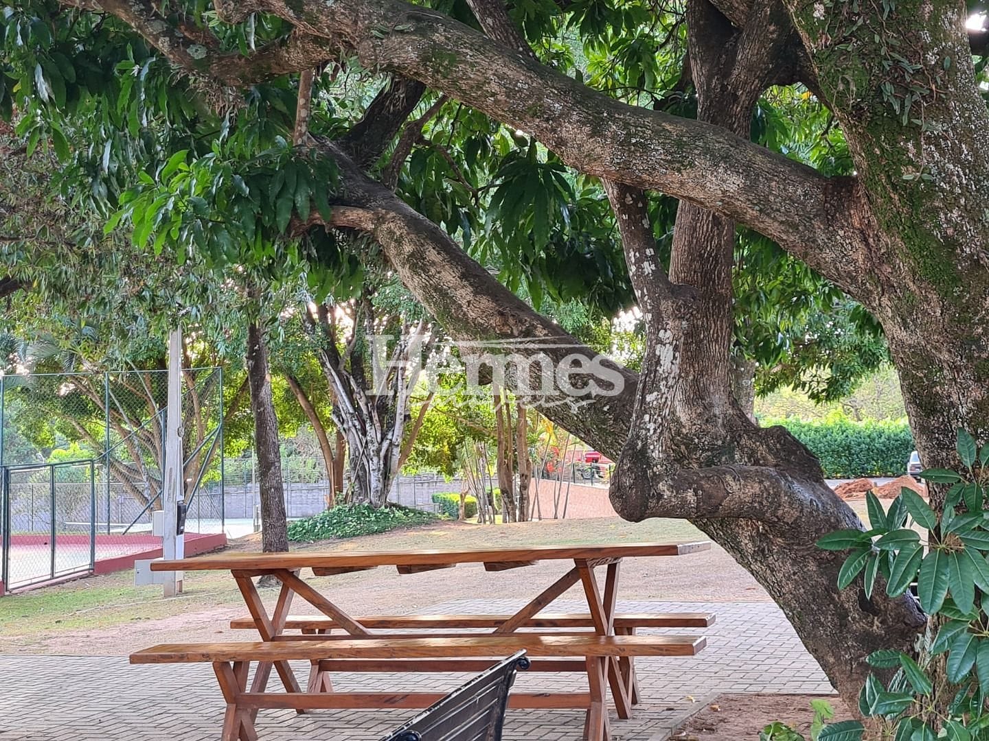 Casa, 3 quartos, 358 m² - Foto 43