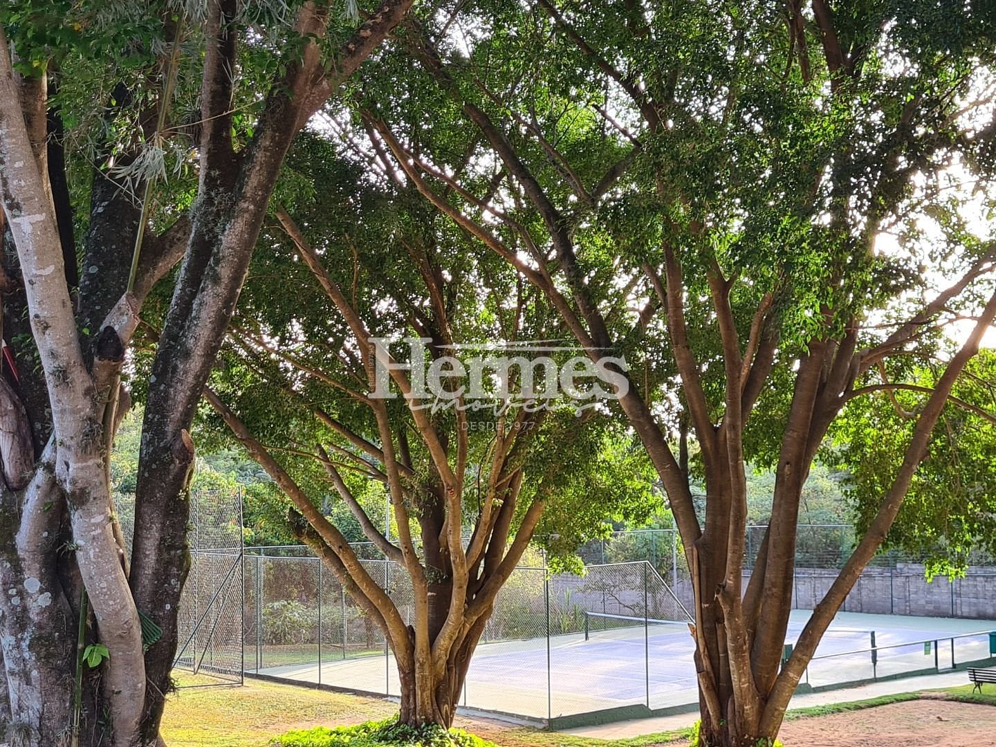 Casa, 3 quartos, 358 m² - Foto 44