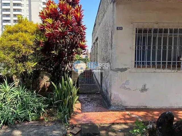 Casa com 439m² 3 quartos e 2 banheiros, à venda, no bairro Centro em Londrina