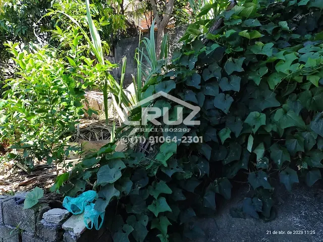 Casa com 120m² 2 quartos e 1 banheiro, à venda, no bairro Vera Tereza em Caieiras