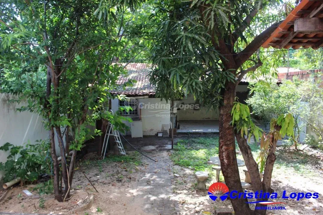 Casa, 5 quartos, 300 m² - Foto 4