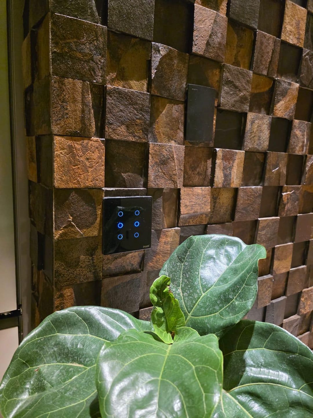 Casa, 3 quartos, 250 m² - Foto 10