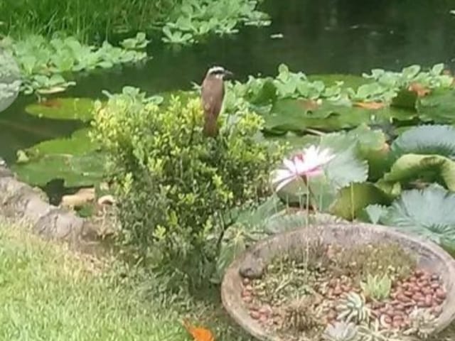 Casa com 1246m² 5 quartos e 6 banheiros, à venda, no bairro Vargem Grande em Rio de Janeiro