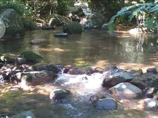 Casa com 1246m² 5 quartos e 6 banheiros, à venda, no bairro Vargem Grande em Rio de Janeiro