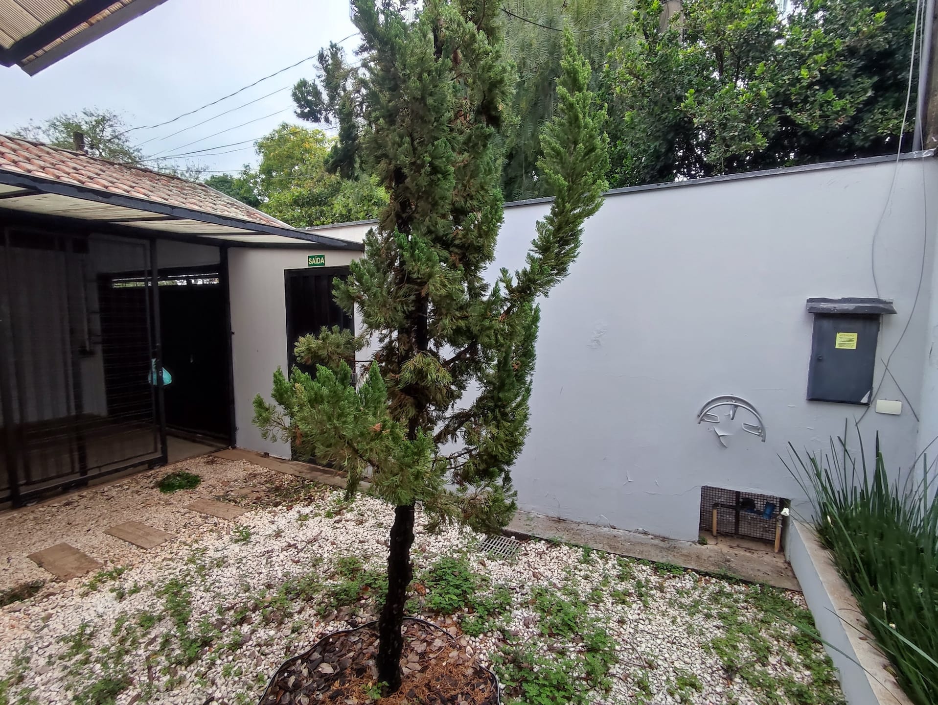 Casa, 3 quartos, 250 m² - Foto 13