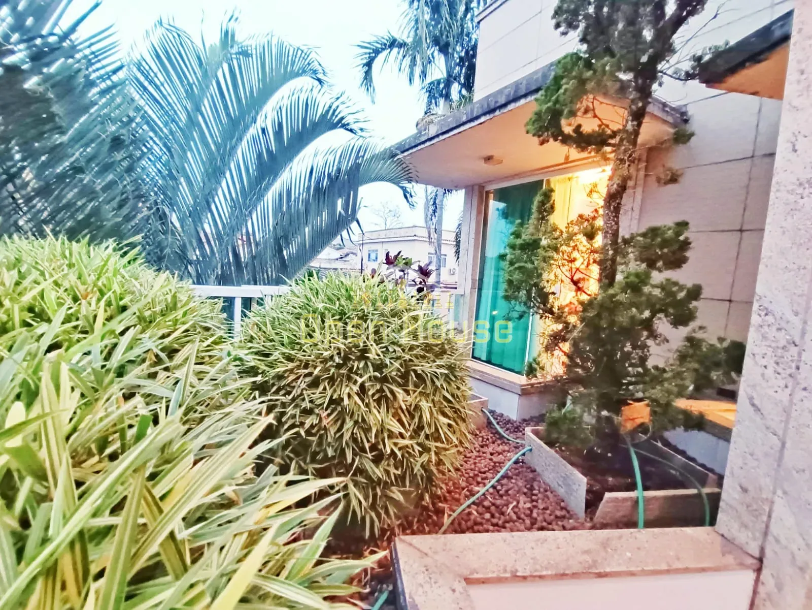 Casa, 4 quartos, 393 m² - Foto 43