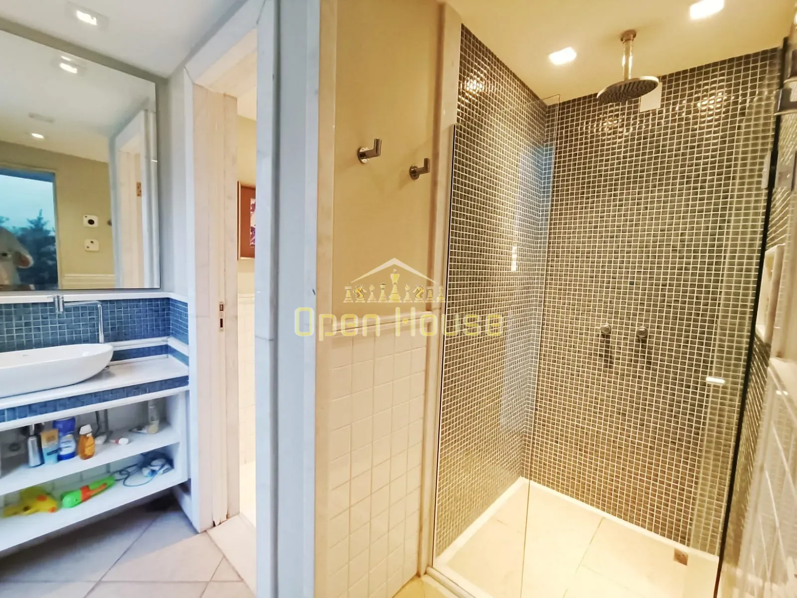 Casa, 4 quartos, 393 m² - Foto 17