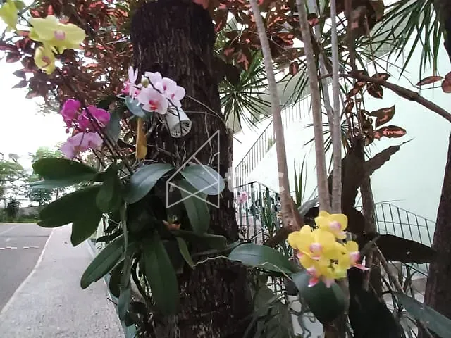 Casa 4 quartos e 4 banheiros, à venda, no bairro Itanhangá em Rio de Janeiro