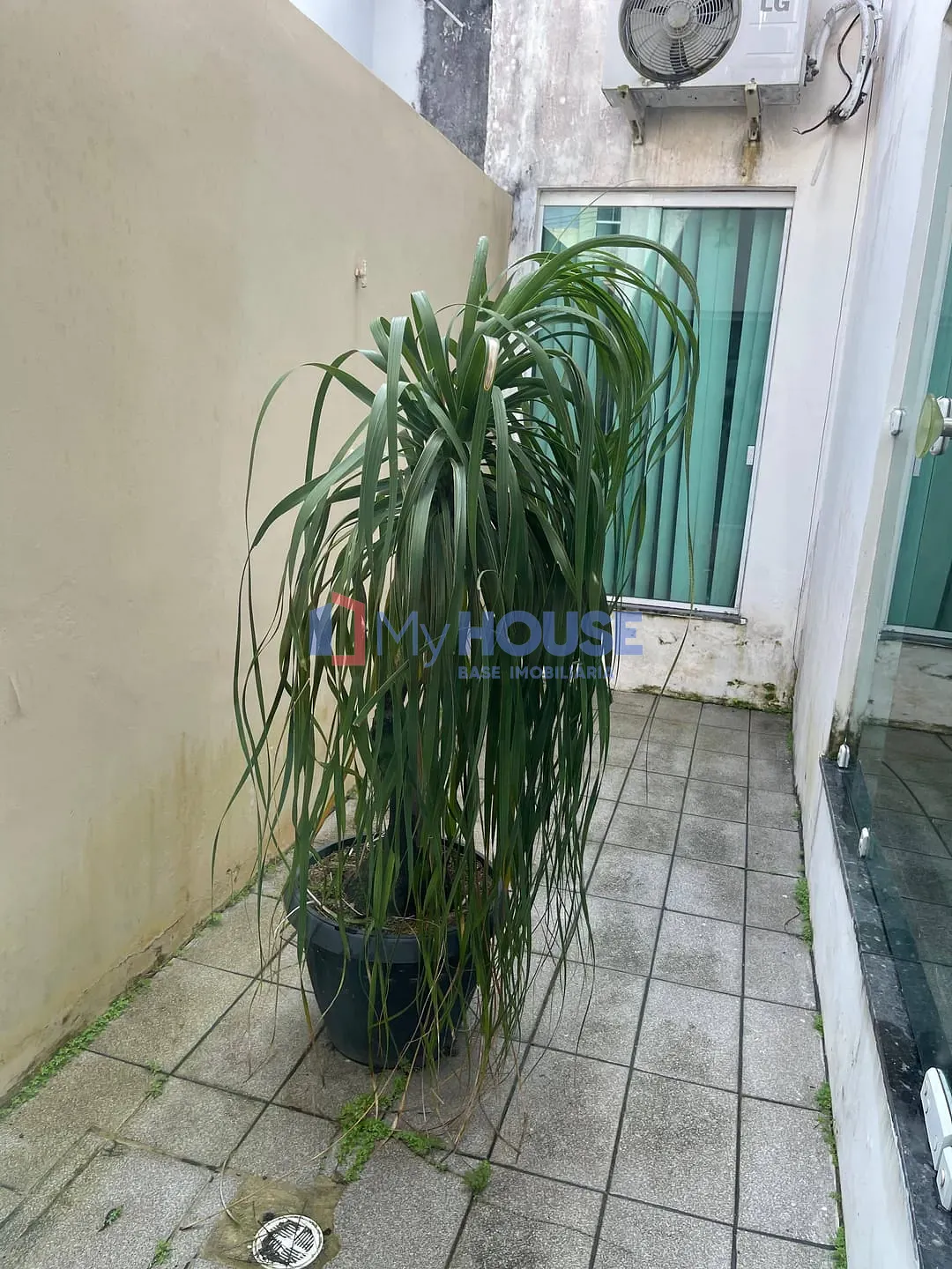 Casa, 4 quartos, 180 m² - Foto 12