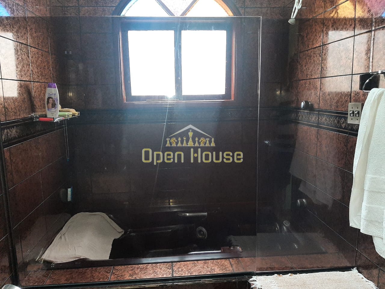 Casa, 4 quartos, 317 m² - Foto 19