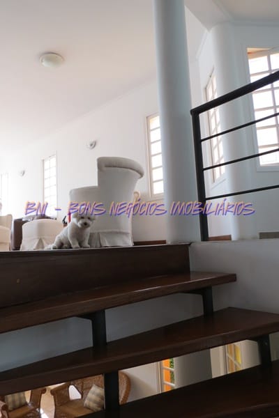 Casa à venda com 4 quartos, 300m² - Foto 35