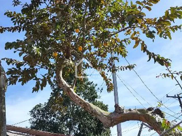 Casa 3 quartos e 2 banheiros, à venda, no bairro Sítio Paecara (Vicente de Carvalho) em Guarujá