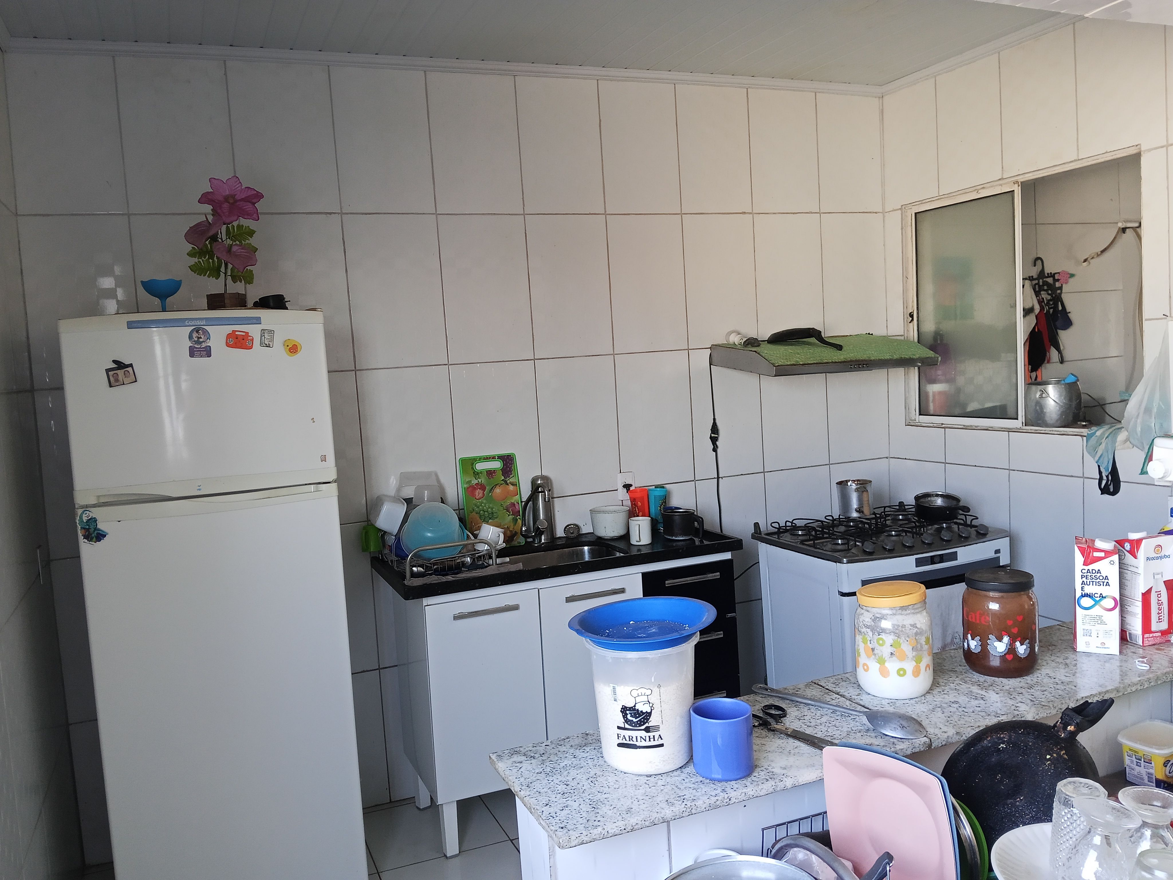 Casa, 6 quartos, 300 m² - Foto 10