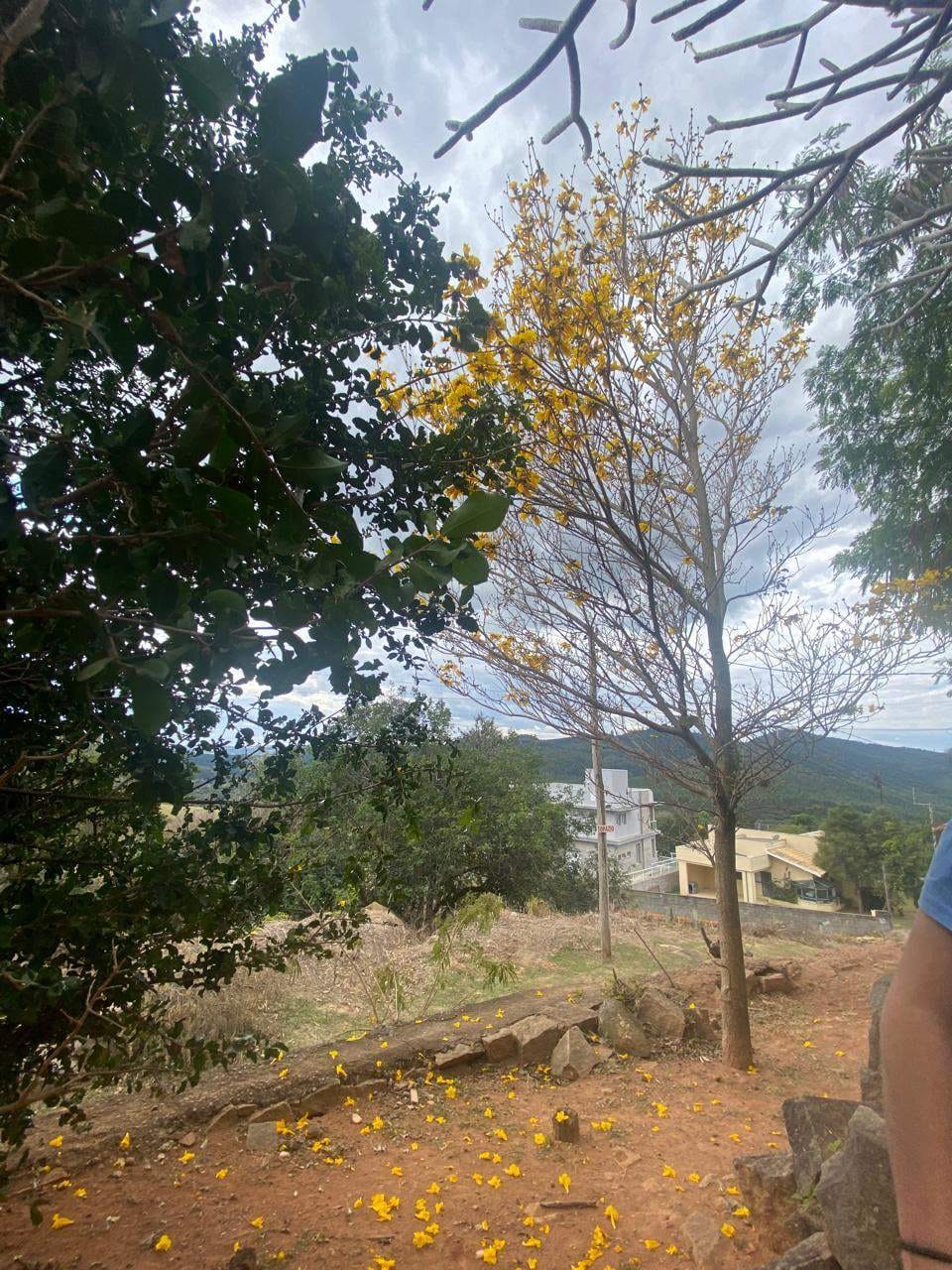 Casa, 3 quartos, 300 m² - Foto 24