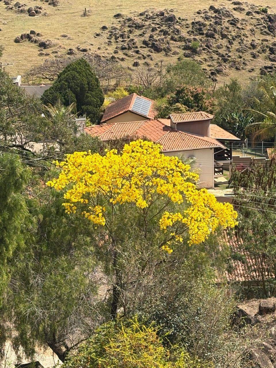 Casa, 3 quartos, 300 m² - Foto 36