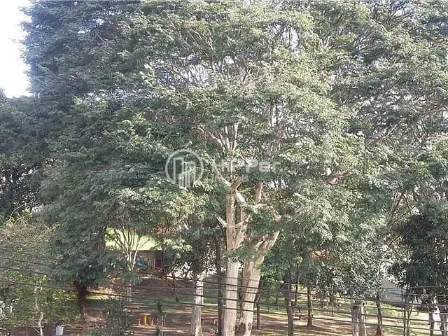 Casa com 150m² 3 quartos e 4 banheiros, à venda, no bairro Vila Romana em São Paulo