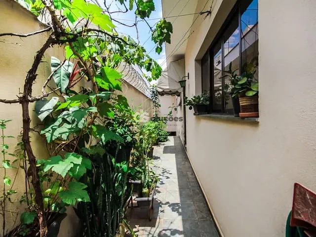 Casa 3 quartos e 6 banheiros, para alugar, no bairro Vila Hamburguesa em São Paulo