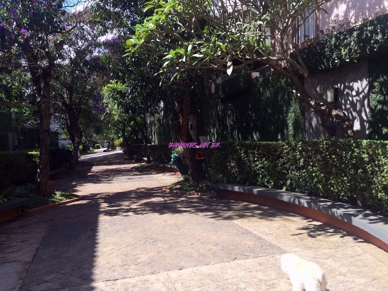 Casa, 3 quartos, 145 m² - Foto 41