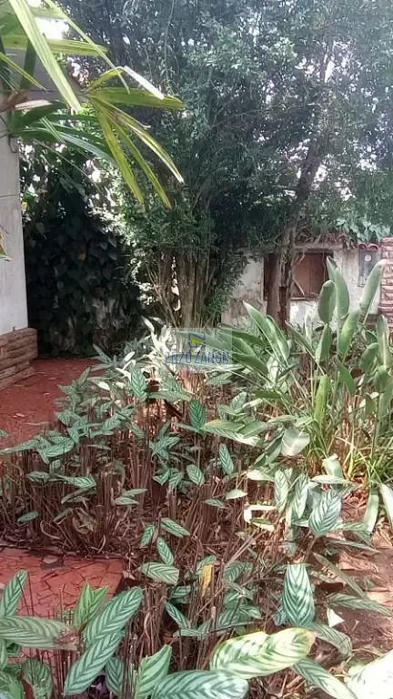 Casa, 3 quartos, 400 m² - Foto 30
