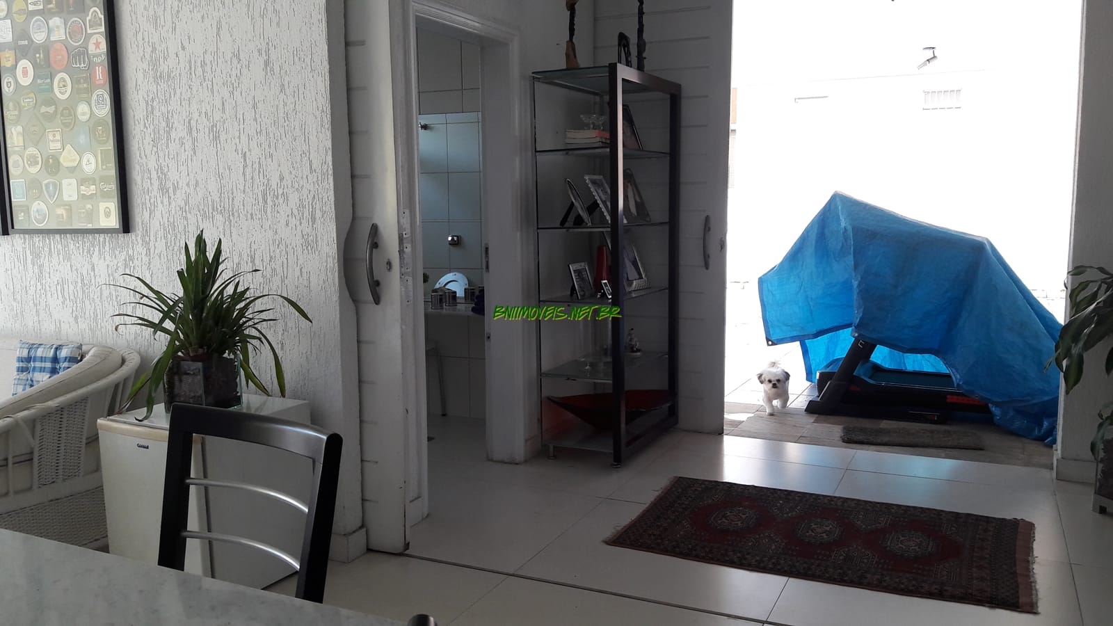 Casa, 3 quartos, 420 m² - Foto 46
