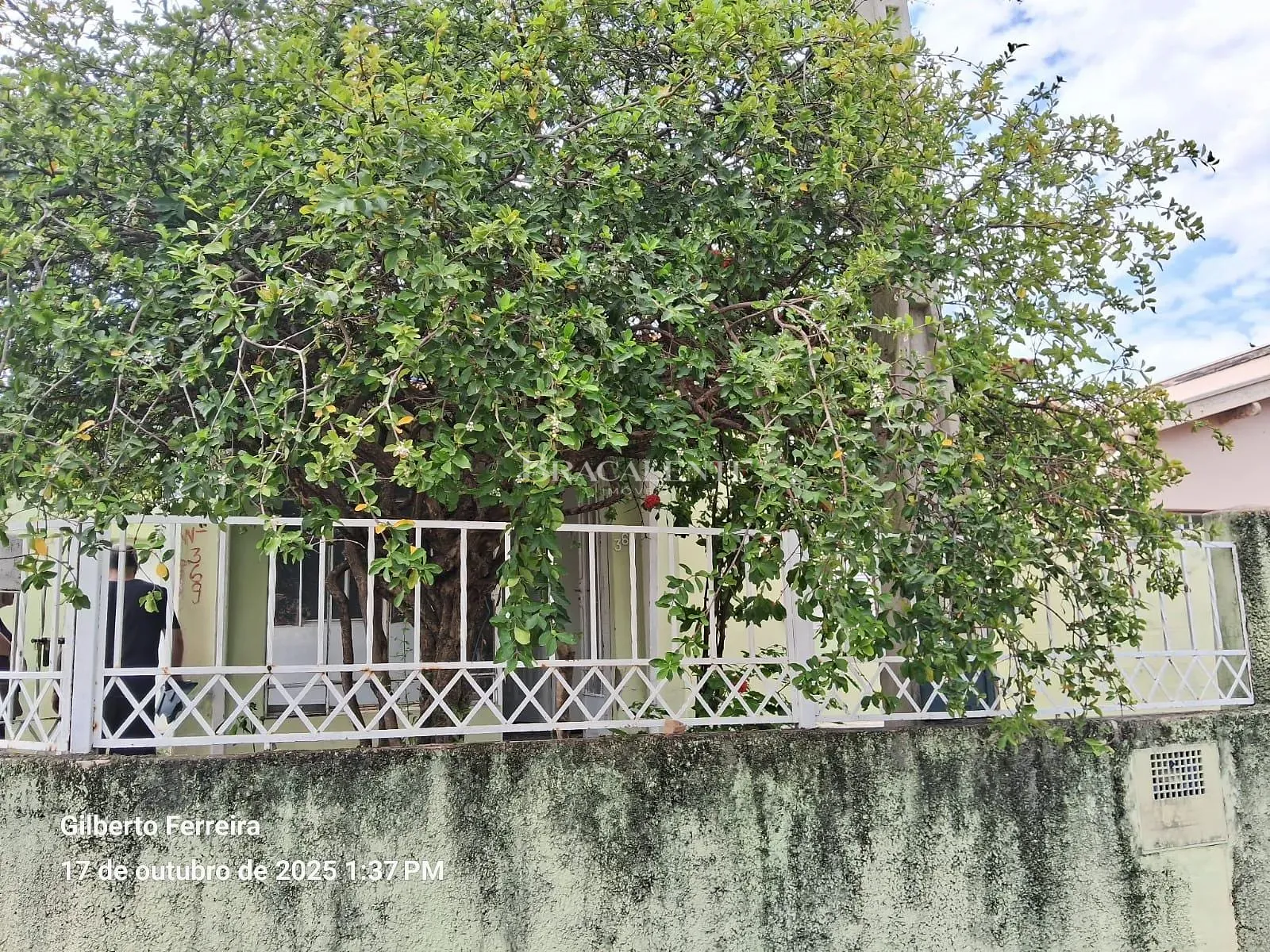 Casa, 3 quartos, 263 m² - Foto 11