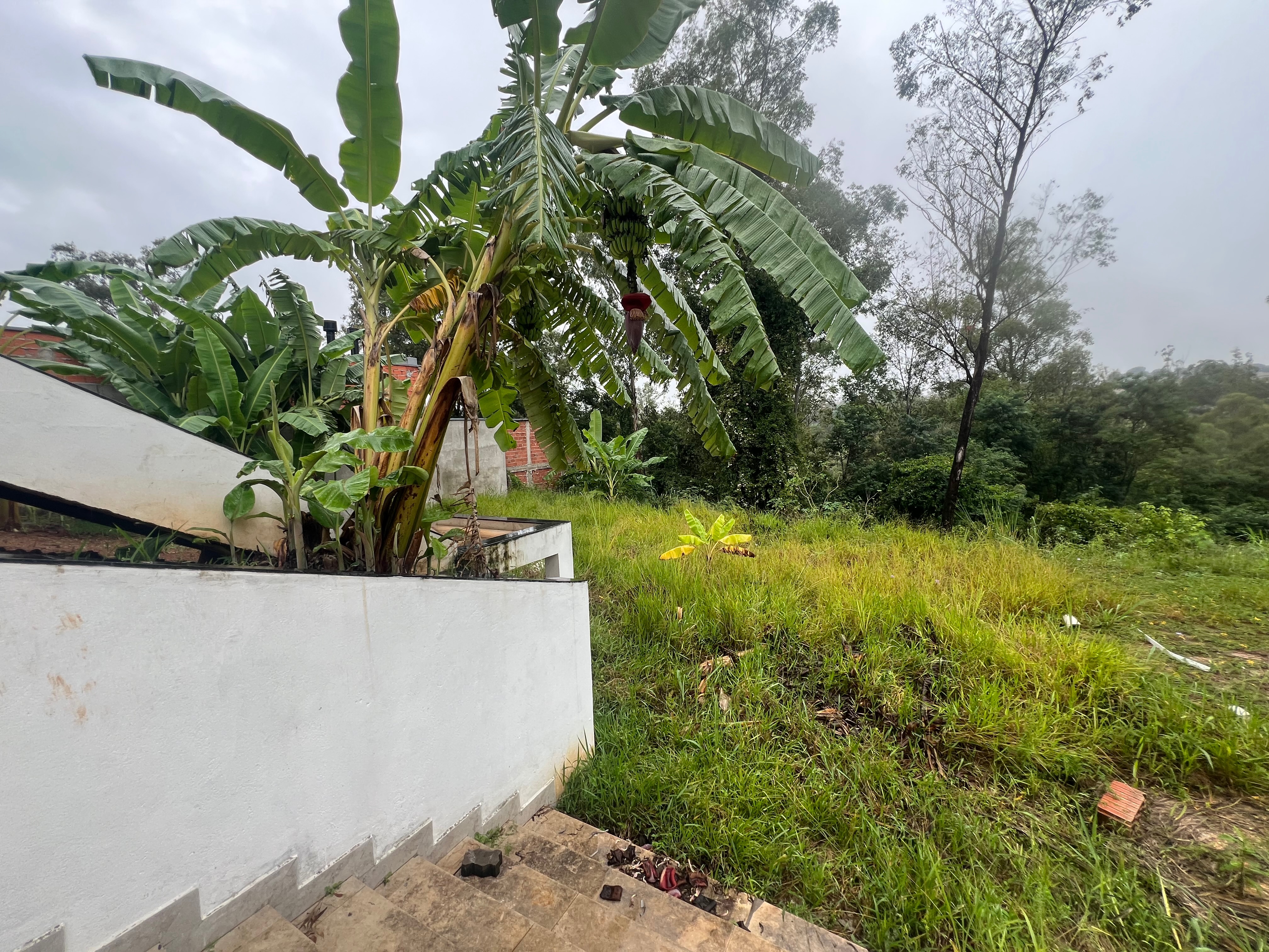 Casa, 4 quartos, 1000 m² - Foto 19