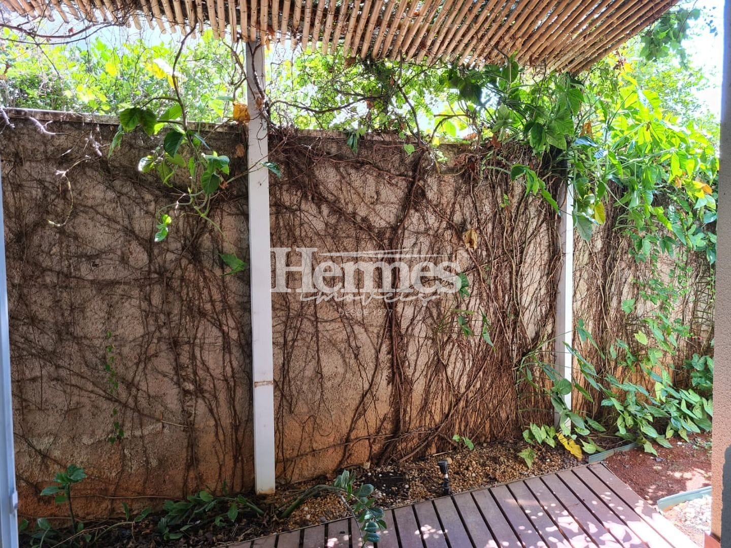 Casa, 4 quartos, 220 m² - Foto 24