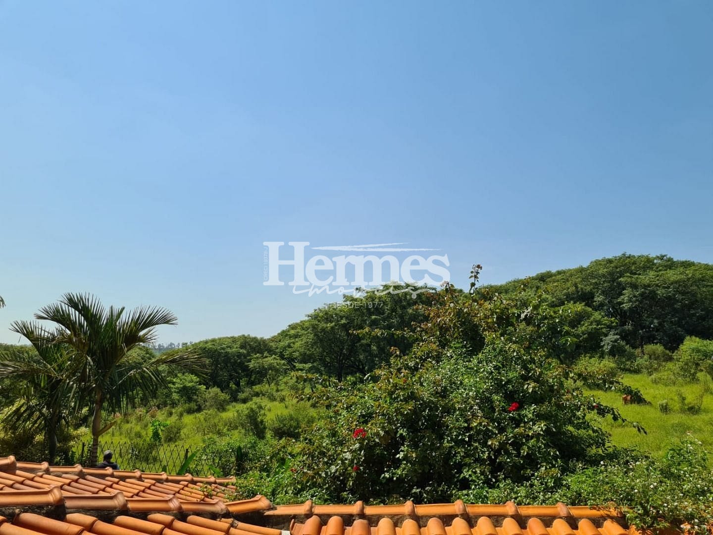 Casa, 4 quartos, 220 m² - Foto 18