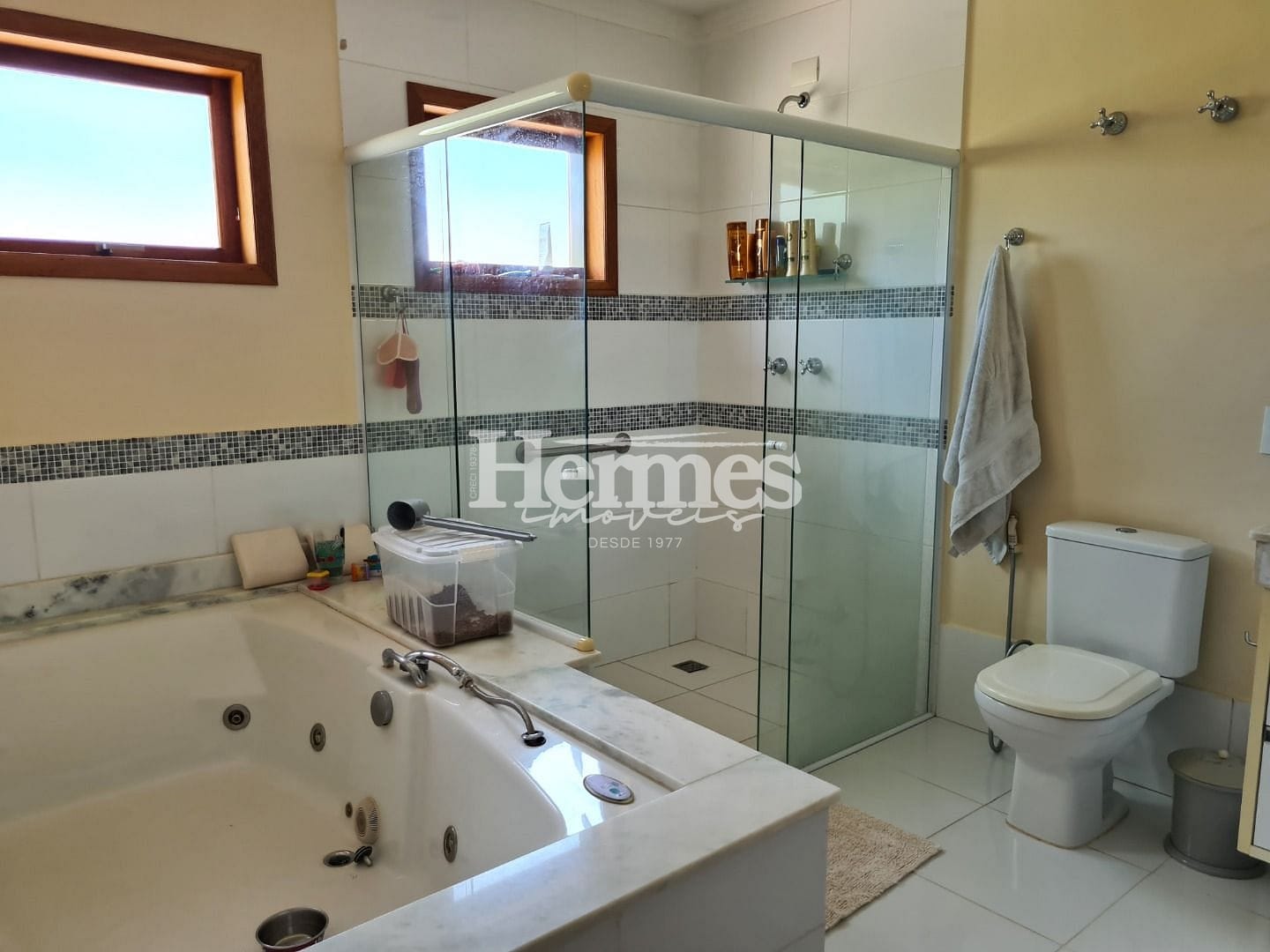 Casa, 4 quartos, 468 m² - Foto 34