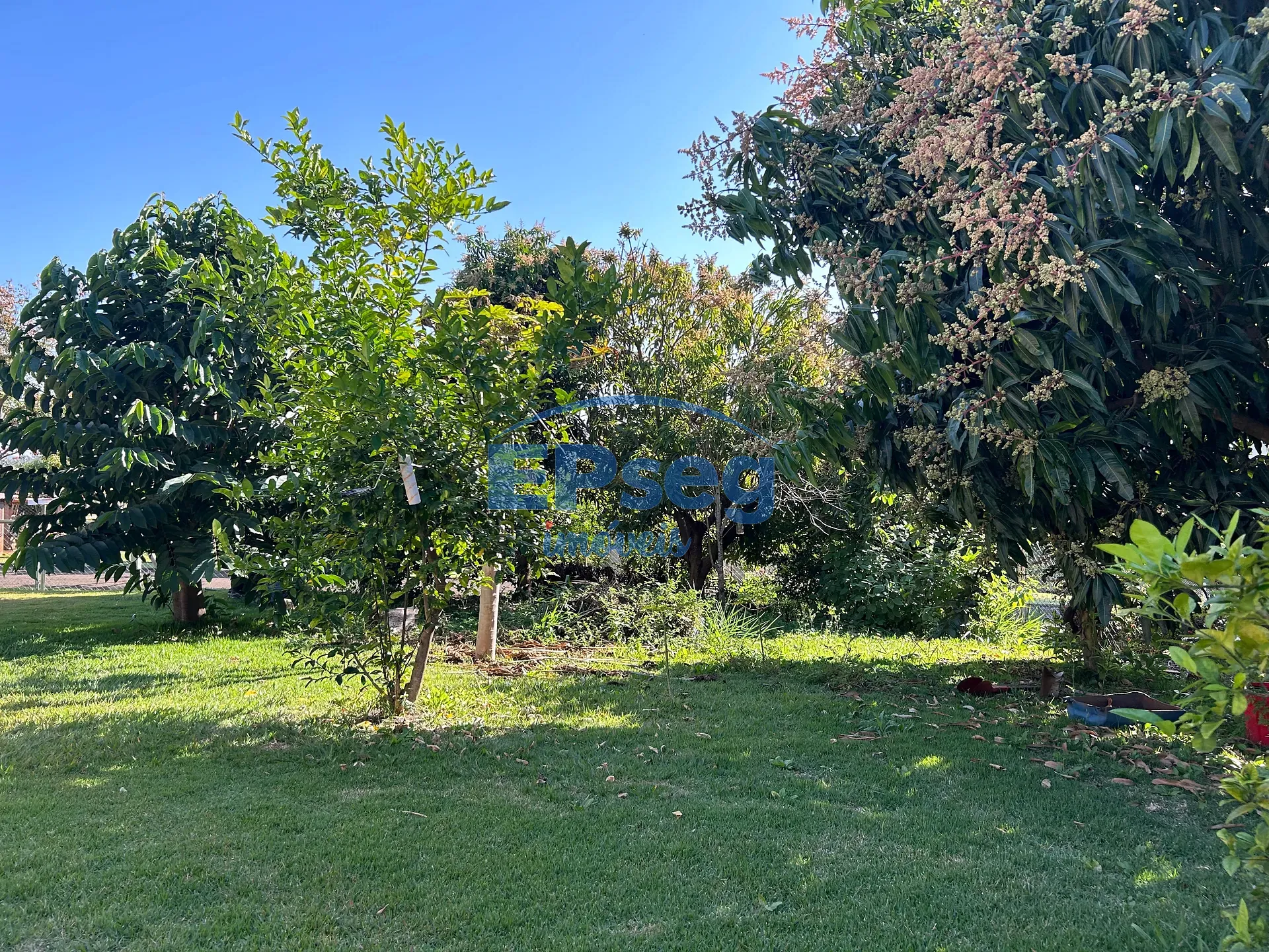 Casa, 3 quartos, 241 m² - Foto 43