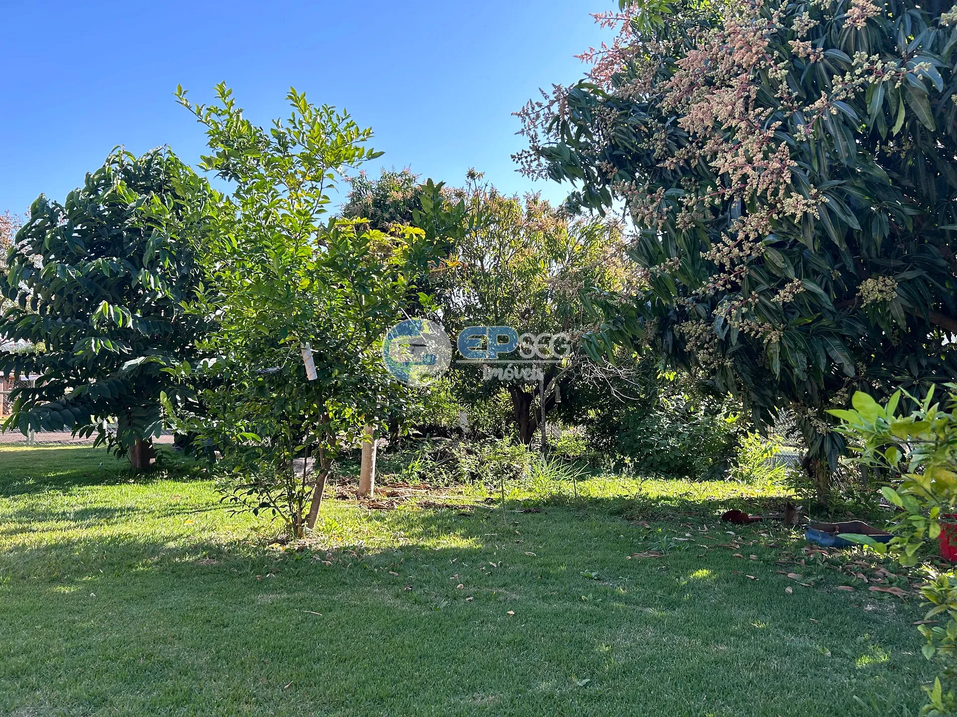 Casa, 3 quartos, 241 m² - Foto 43