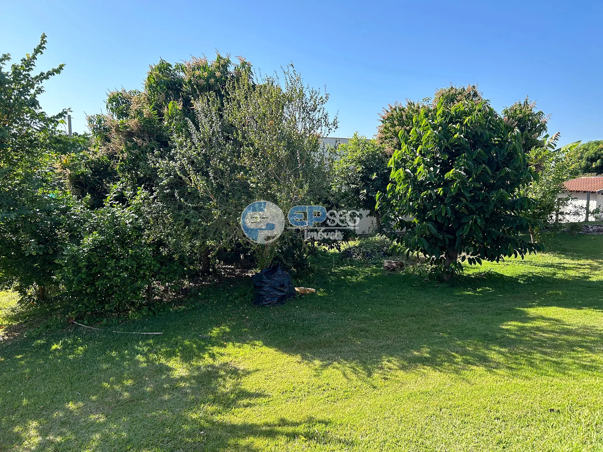 Casa, 3 quartos, 241 m² - Foto 35