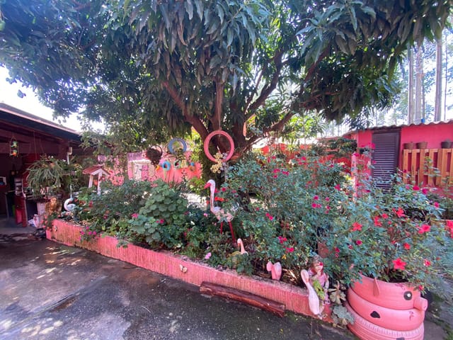 Casa com 300m² 3 quartos e 2 banheiros, à venda, no bairro Jardim Sul América em Campinas