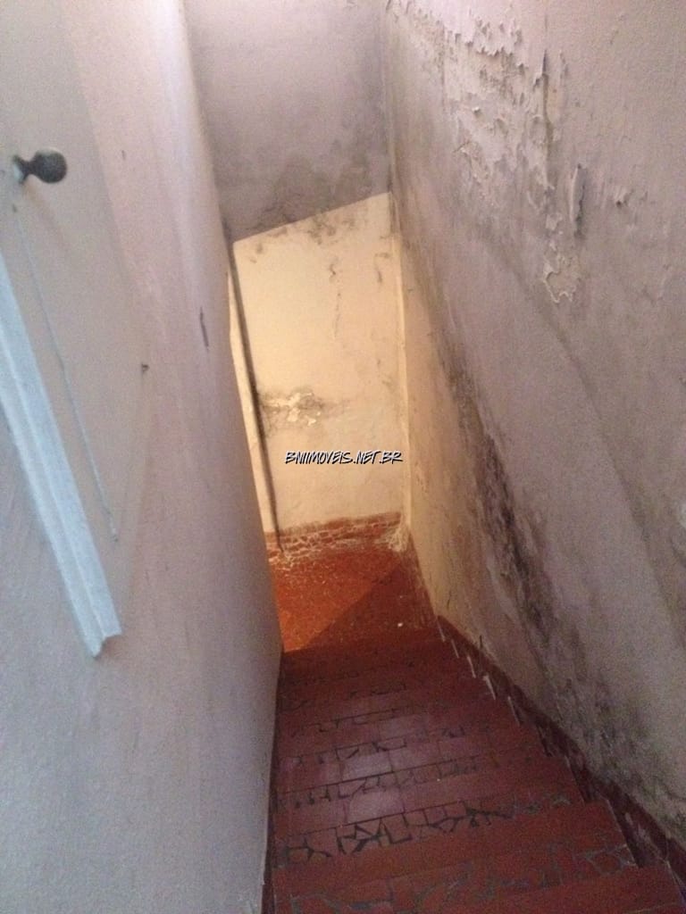 Casa, 4 quartos, 262 m² - Foto 11