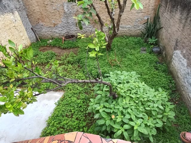 Casa com 209m² 3 quartos e 1 banheiro, à venda, no bairro Jardim Maria Augusta em Taubaté