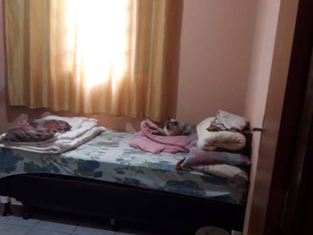 Casa 3 quartos e 2 banheiros, à venda, no bairro Loteamento Parque Nova Esperança em São José do Rio Preto