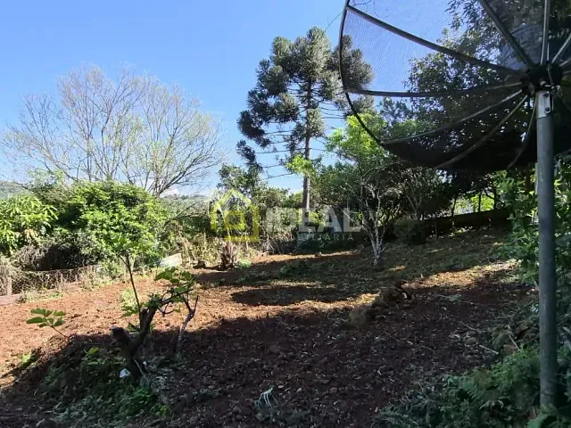 Casa 6 quartos e 3 banheiros, à venda, no bairro Sunti em Concórdia