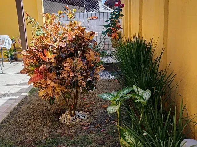 Casa com 262m² 3 quartos e 3 banheiros, à venda, no bairro Morro do Algodão em Caraguatatuba