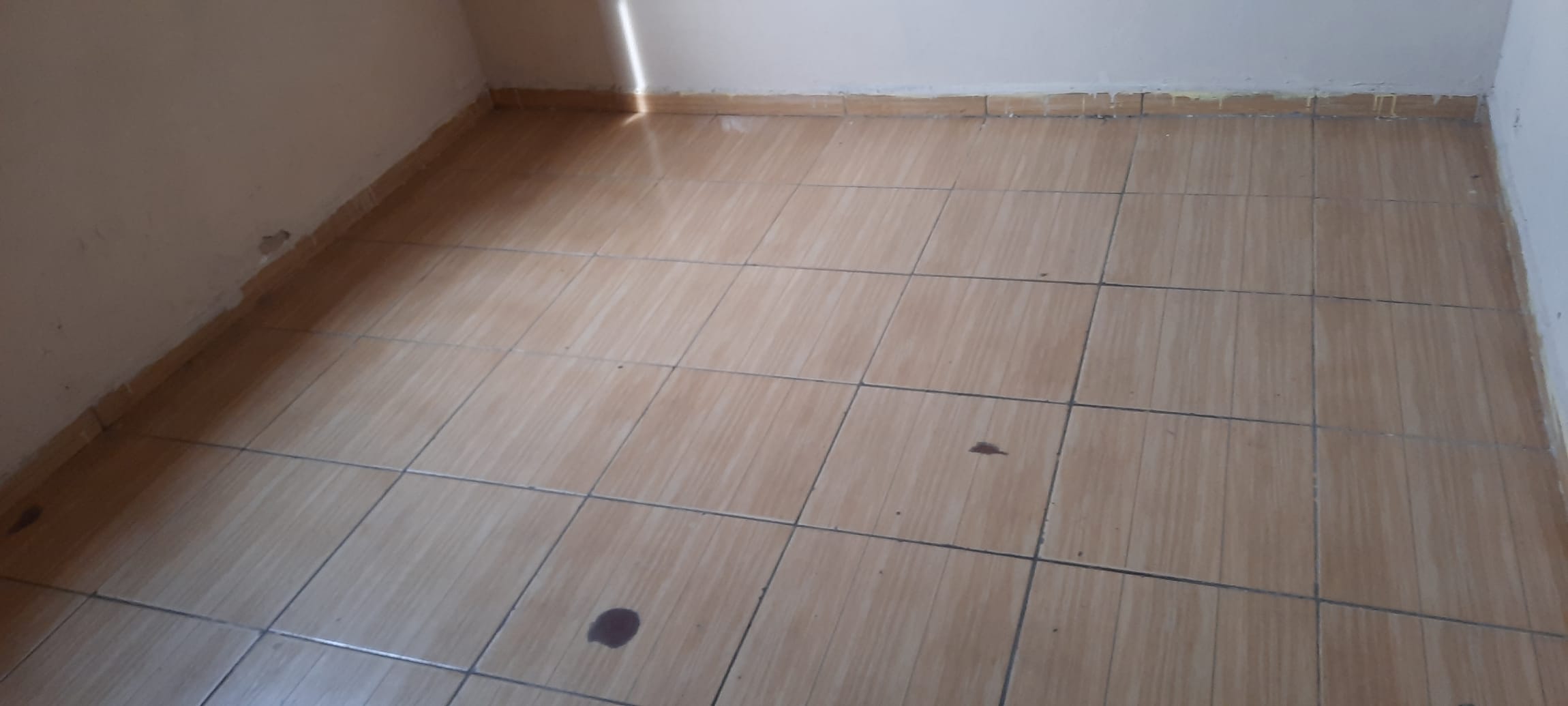 Casa, 1 quarto, 40 m² - Foto 4
