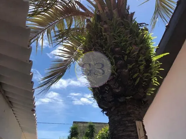 Casa 3 quartos e 2 banheiros, para alugar, no bairro Cassino em Rio Grande