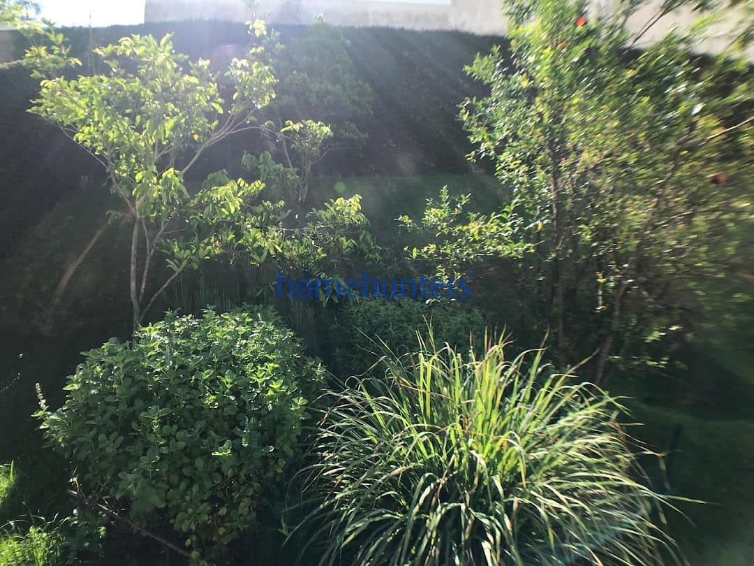 Casa, 4 quartos, 780 m² - Foto 40